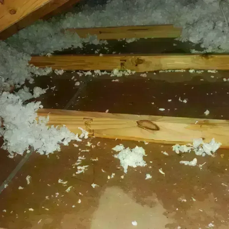 Attic Water Damage in Valley Mills, TX